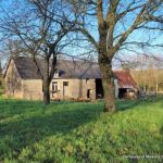 Corps de ferme à restaurer 1316DM50 